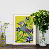 Image of L'oiseau aux couleurs acidulées