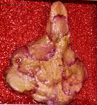 Image 2 of French Bulldog in Petal & Red Glitter