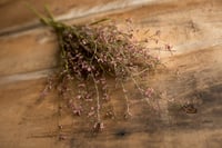 Image 2 of Branch with little flowers