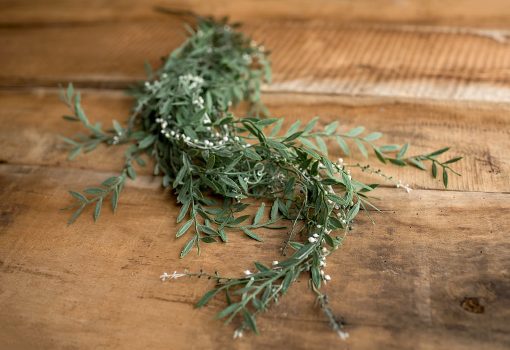 Image of  Branch with leaves and floral buds