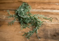 Image 2 of  Branch with leaves and floral buds