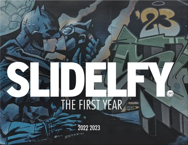 Image of SLIDELFY - The first Year.