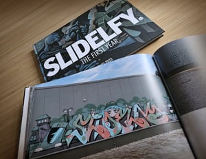 Image of SLIDELFY - The first Year.