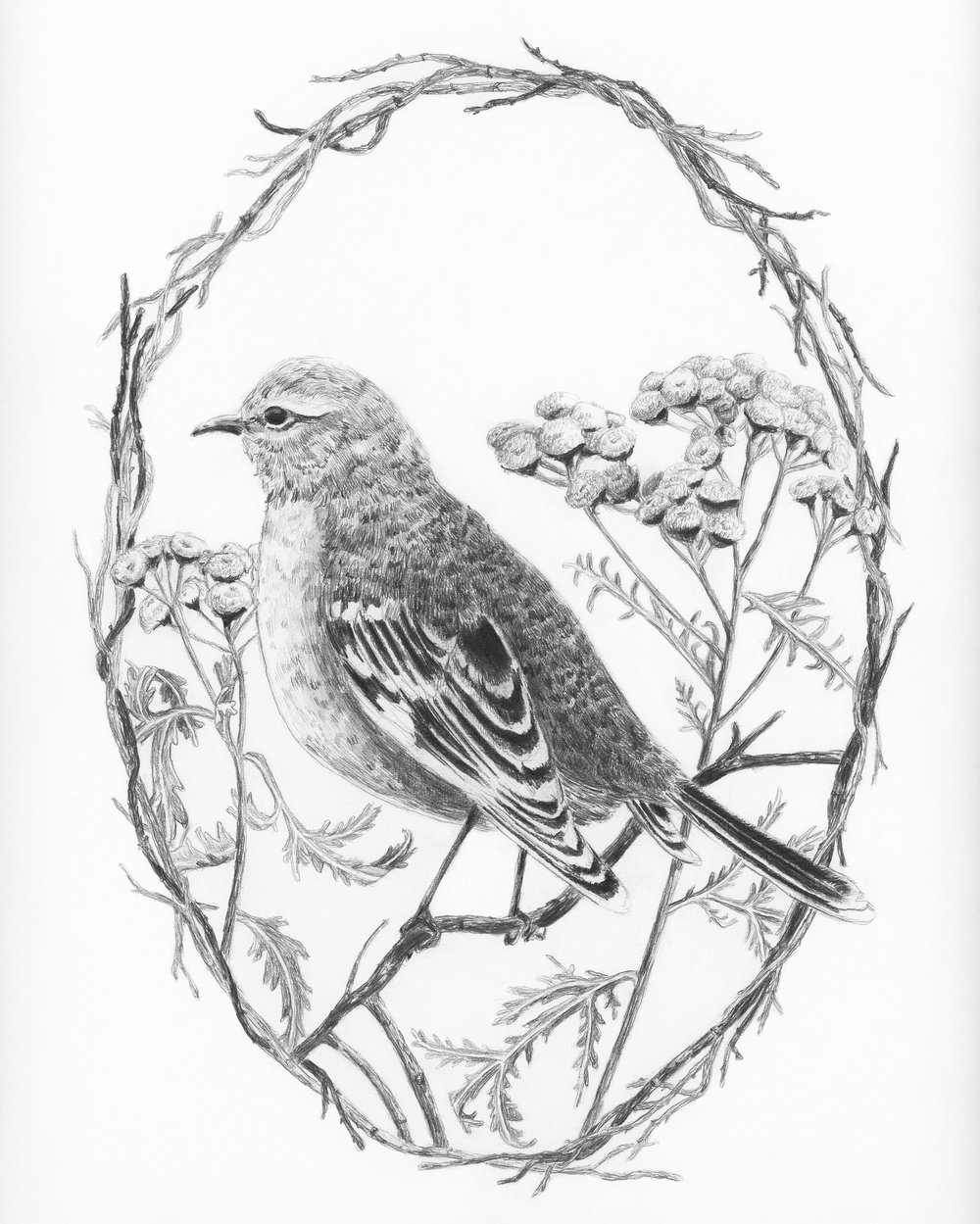 Image of Tansy and Bird 