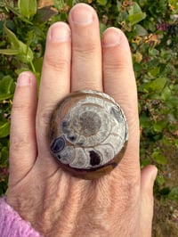 Stacey’s Fossilized ring wrap band 