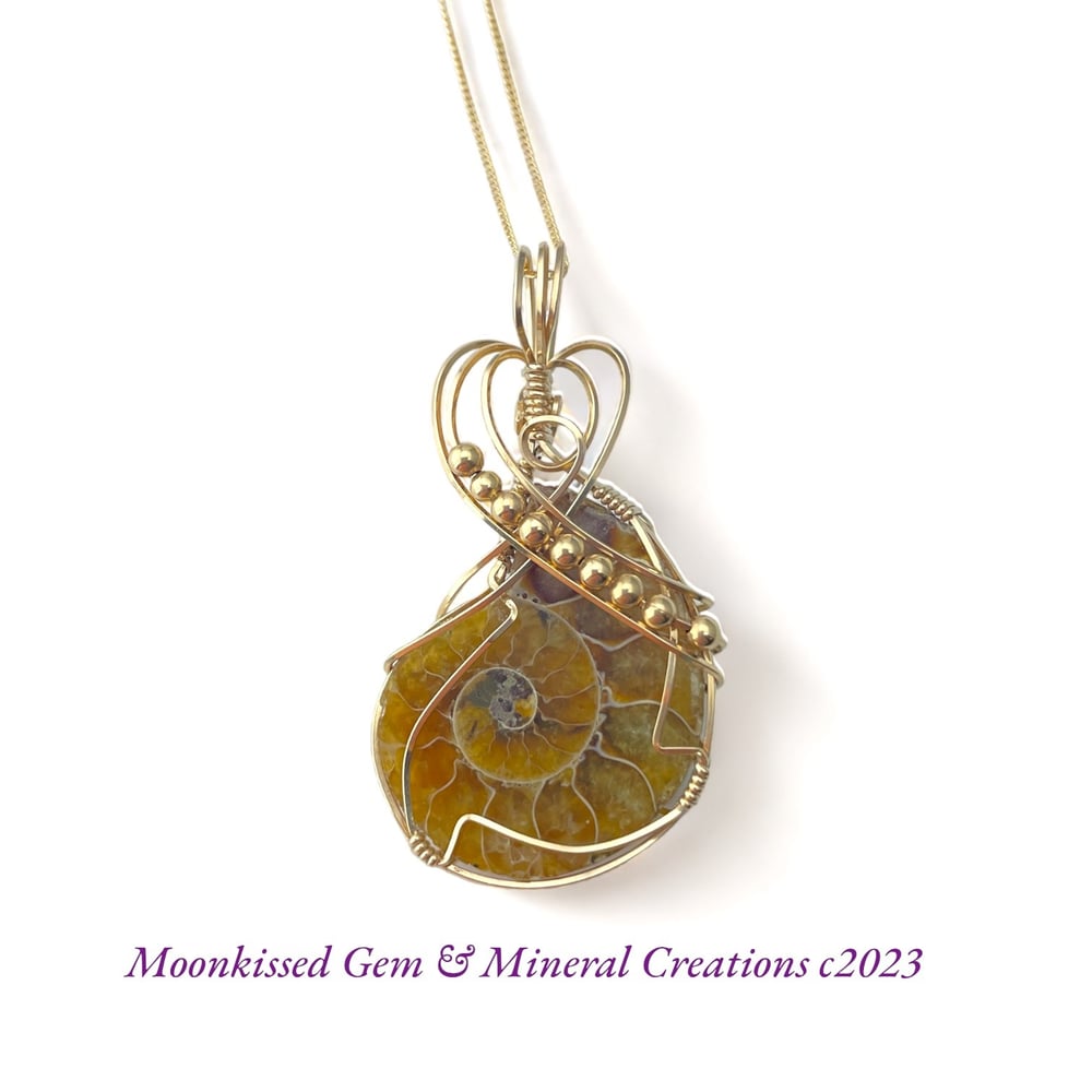 Image of Blonde Ammonite 14 Kt Gold Fill Pendant