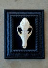 6" carved fox skull on 11" black frame 2