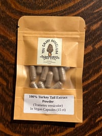 Turkey Tail Extract Capsules