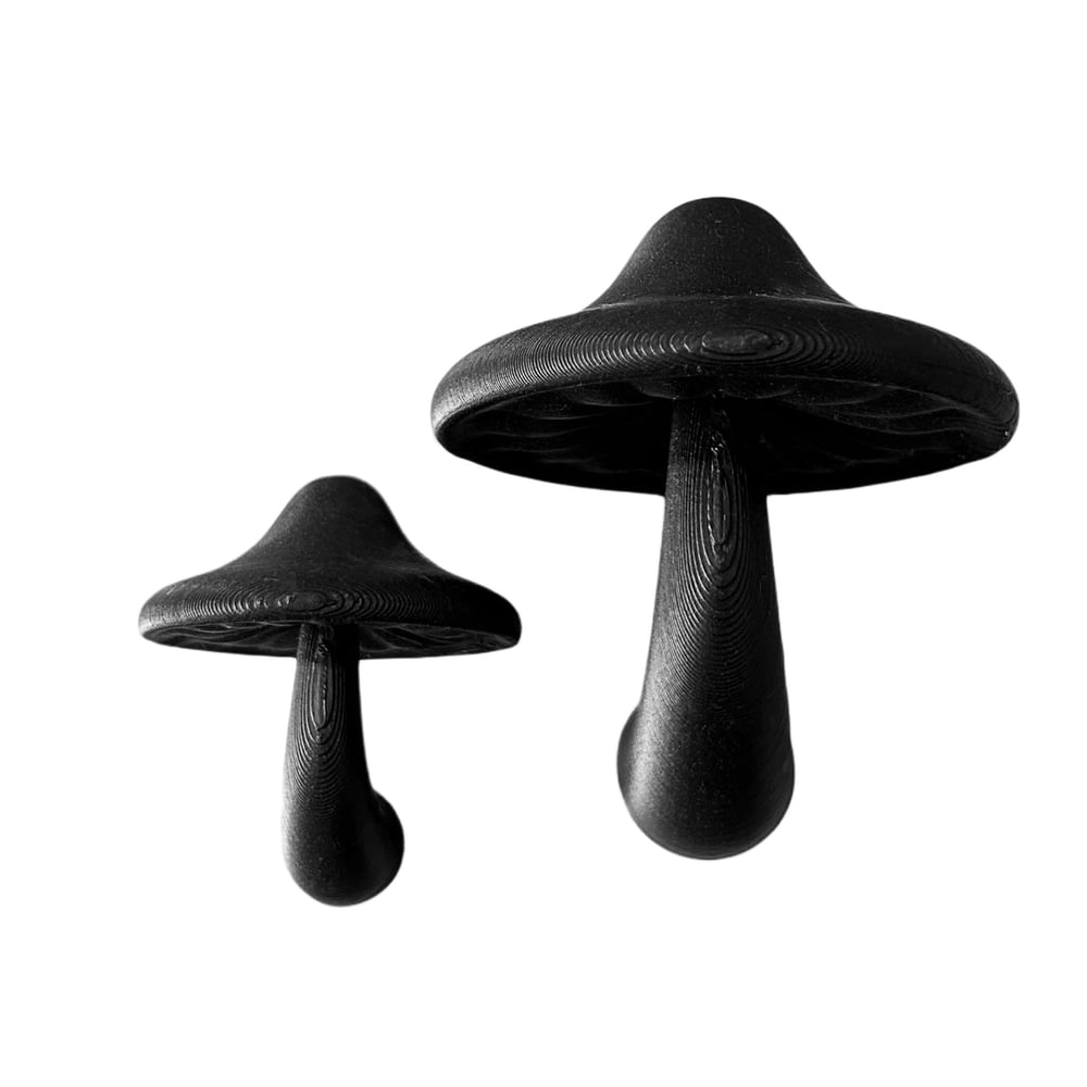 FHOS - Magic Mushrooms