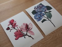 Ellie Flower Prints
