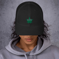 Image 4 of 420 Embroidered Trucker Cap