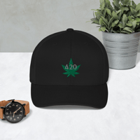 Image 5 of 420 Embroidered Trucker Cap