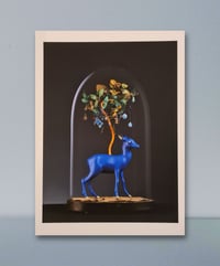 Image 1 of LA BICHE BLEUE 