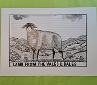 Image 1 of Lamb from the Vales and Dales - ORIGINAL DRAWING