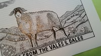 Image 2 of Lamb from the Vales and Dales - ORIGINAL DRAWING