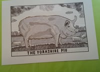 Image 1 of The Yorkshire Pig - ORIGINAL DRAWING