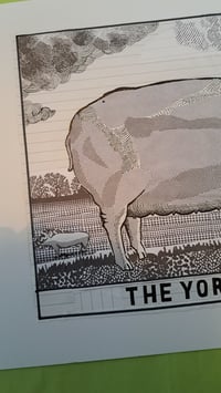 Image 2 of The Yorkshire Pig - ORIGINAL DRAWING