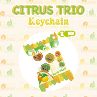 Image 1 of CITRUS Trio | Nami, Sanji, Zoro