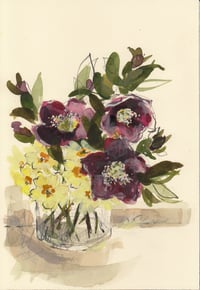 Hellebores and primroses