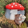 Toadstool times..