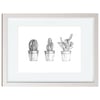 Cactus Collection A3 Framed Print