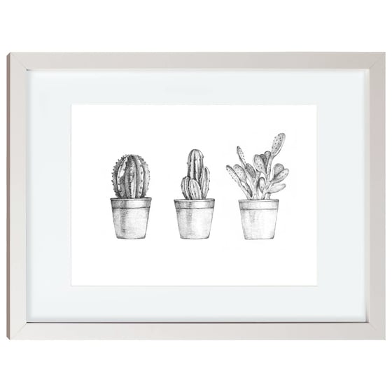 Image of Cactus Collection A3 Framed Print