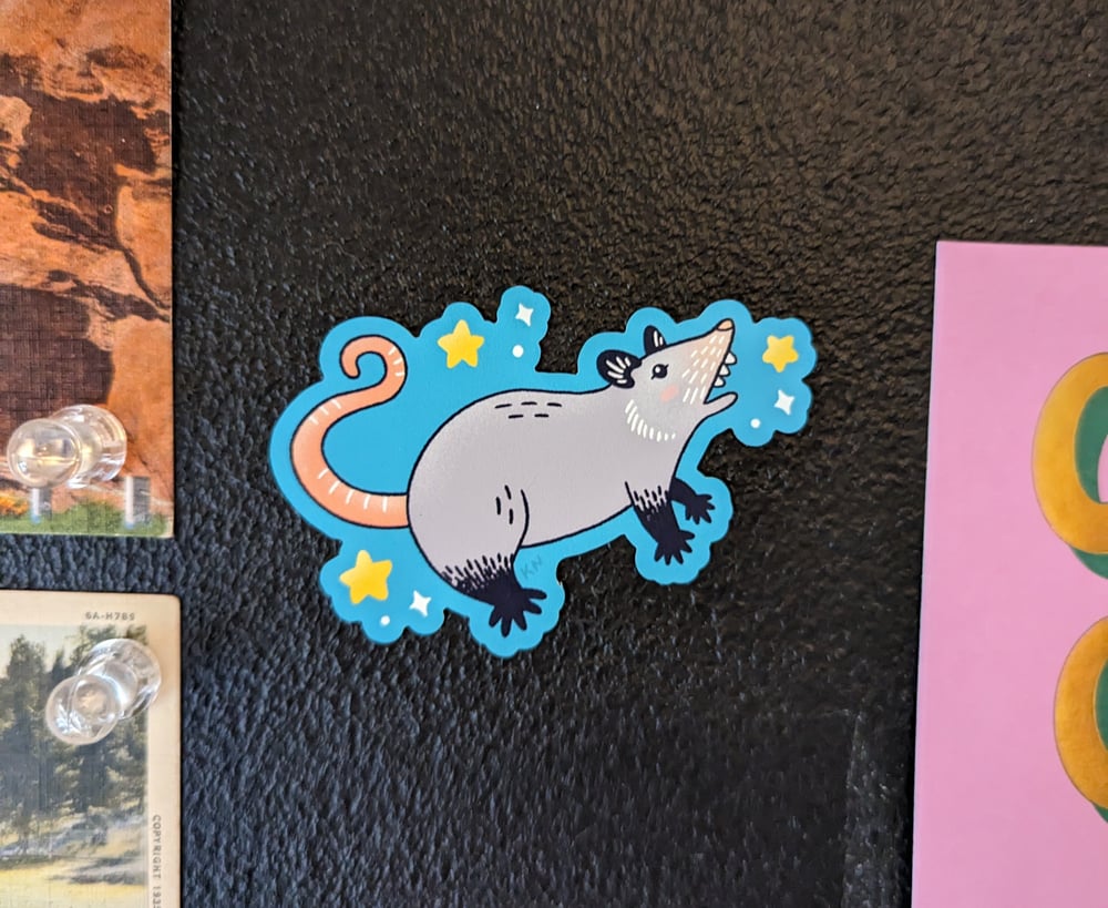Image of Possum magnets 