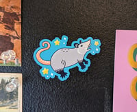 Possum magnets 