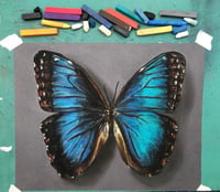 Image 1 of Original Chalk Art Butterfly