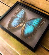 Image 2 of Original Chalk Art Butterfly