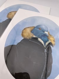 Image 2 of Puffy Coat Pigeon Print