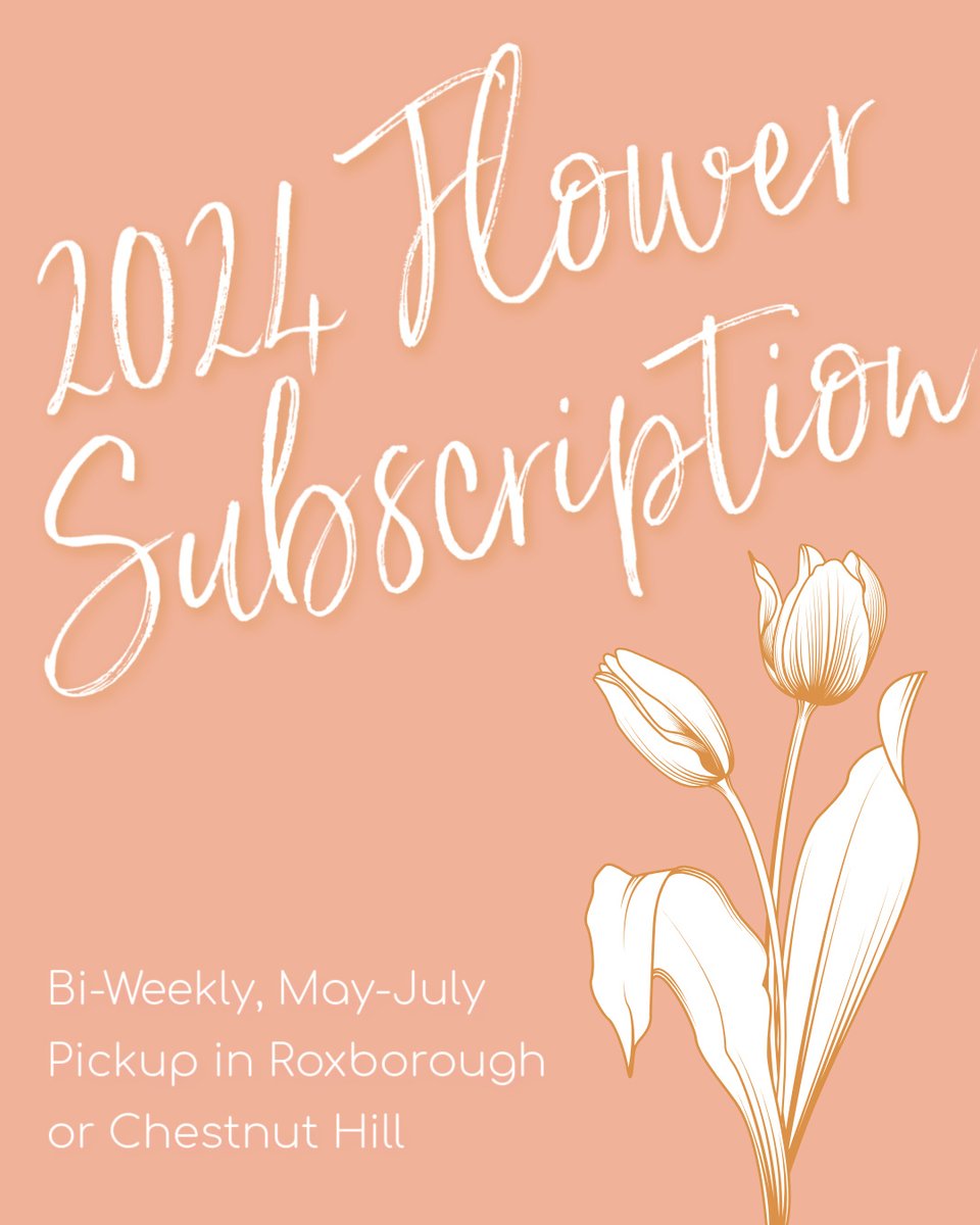 6 Month Flower Subscription: May-October 2024