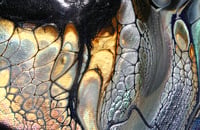 Image 5 of SPLIT I 12" (-40%)