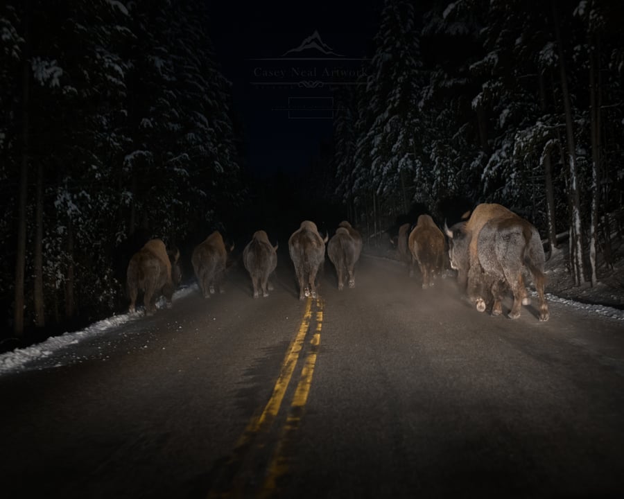 Image of Ghost Herd