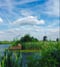 Image of Dutch skies at Kinderdijk