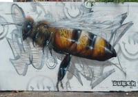 Mcr graffiti bee