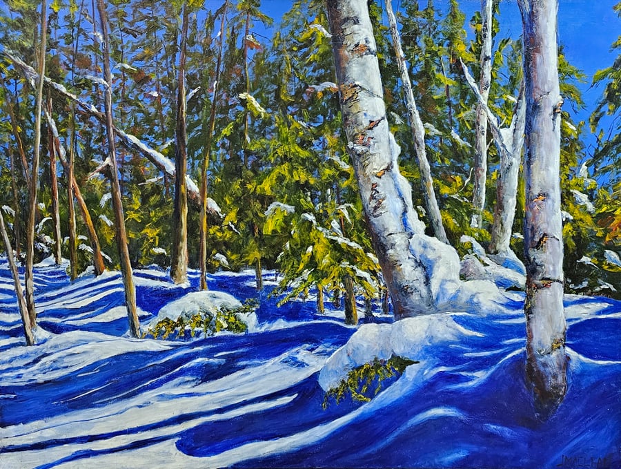 Image of - Winter Forest -