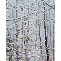 - Horizontal Snow -