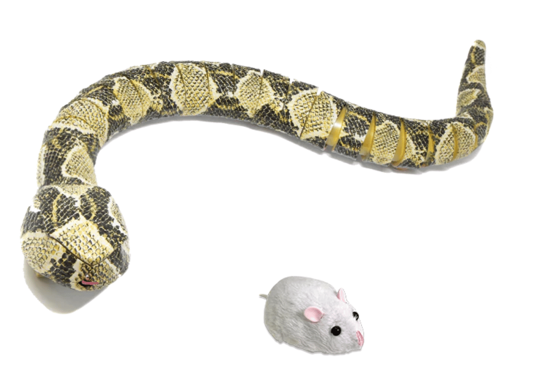 Image of Mouse Catching Anaconda 