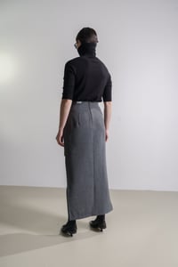 Image 4 of SKIRT 35