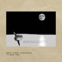 Image 1 of Il pesce luna