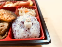 Image 1 of The Spirit of Bento