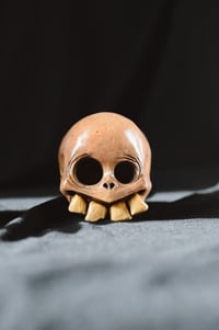 Image 1 of Bone Skull pot 