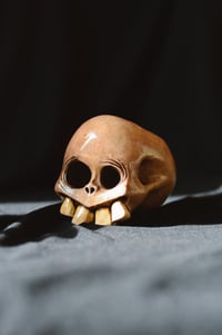 Image 2 of Bone Skull pot 