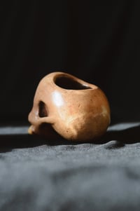 Image 4 of Bone Skull pot 