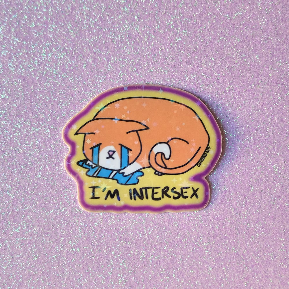 Image of Intersex Cat sticker