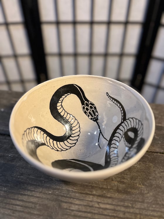 Image of Snake bowl 2