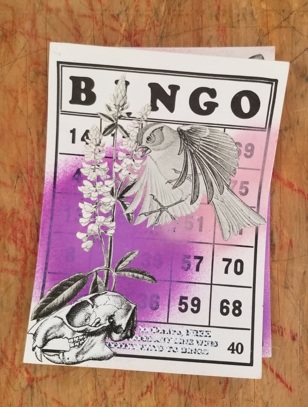 Image of Not Your Grandma's Bingo 6