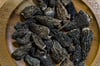 Morilles de Feu