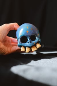 Image 5 of Wizardy Skull pot